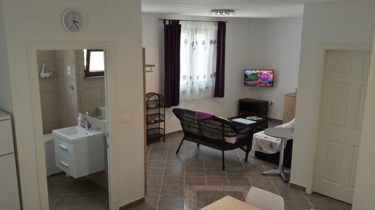Abba Apartment Sveti Lovreč Pazenatički 외부 사진
